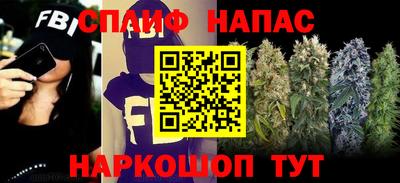 mdpv Заводоуковск