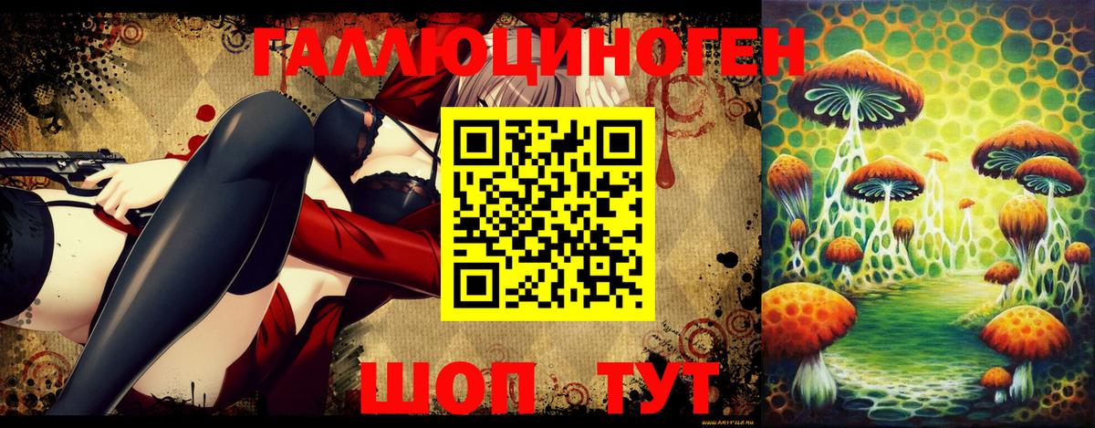 Сокол  Псилоцибиновые грибы GOLDEN TEACHER  Вход с VPN 